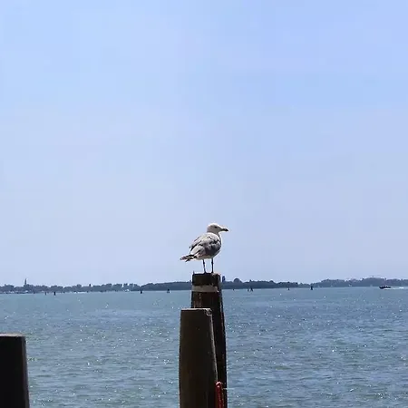 Daire Wonderful View Over Venetian Lagoon Venedik